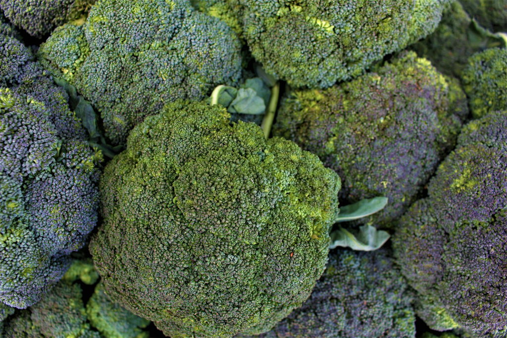 Brocoli